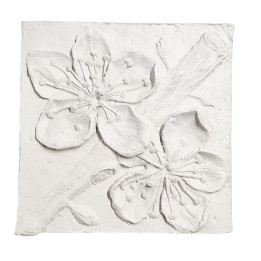 copy of 